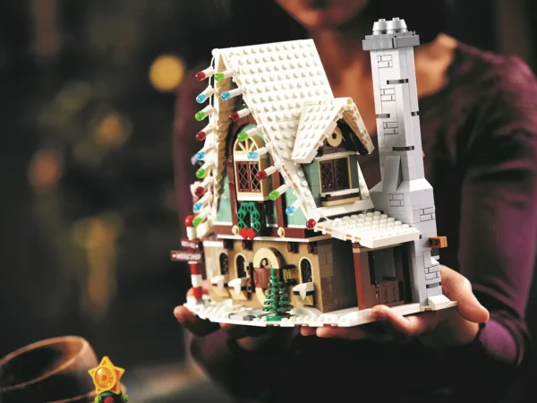 La casa degli elfi - immagine 17