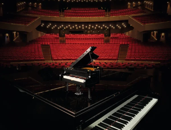 Pianoforte a coda - immagine 16