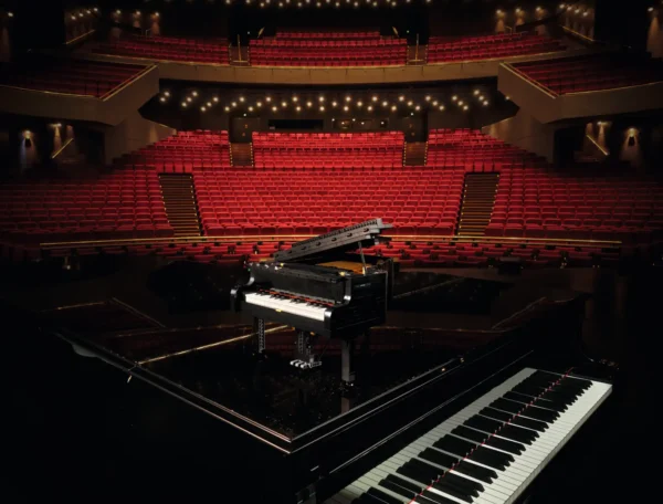 Pianoforte a coda - immagine 17