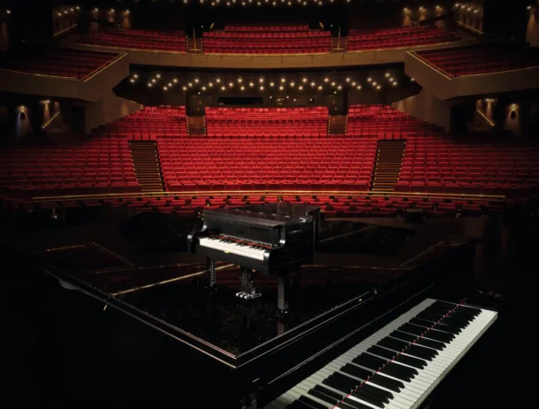 Pianoforte a coda - immagine 18