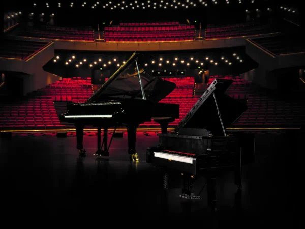 Pianoforte a coda - immagine 19