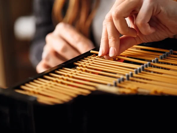 Pianoforte a coda - immagine 24