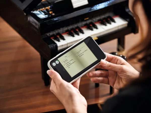 Pianoforte a coda - immagine 27