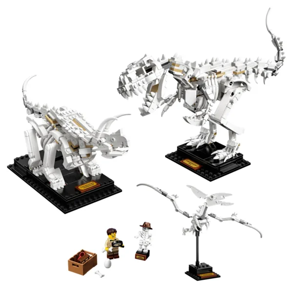 Fossili di dinosauro - immagine 2