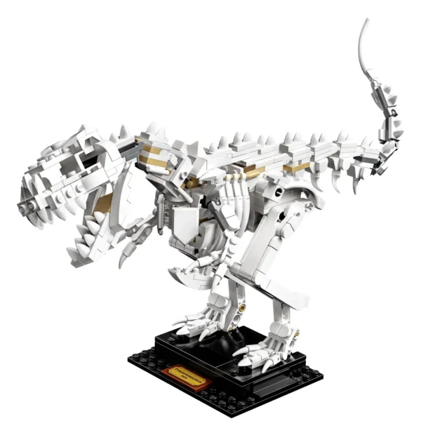 Fossili di dinosauro - immagine 4