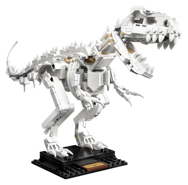 Fossili di dinosauro - immagine 5
