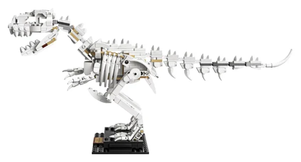 Fossili di dinosauro - immagine 20