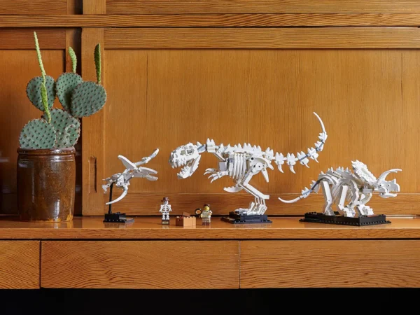 Fossili di dinosauro - immagine 27