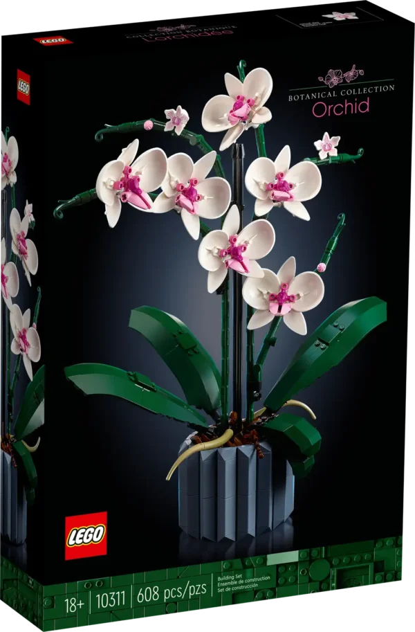 Orchidea - immagine 3