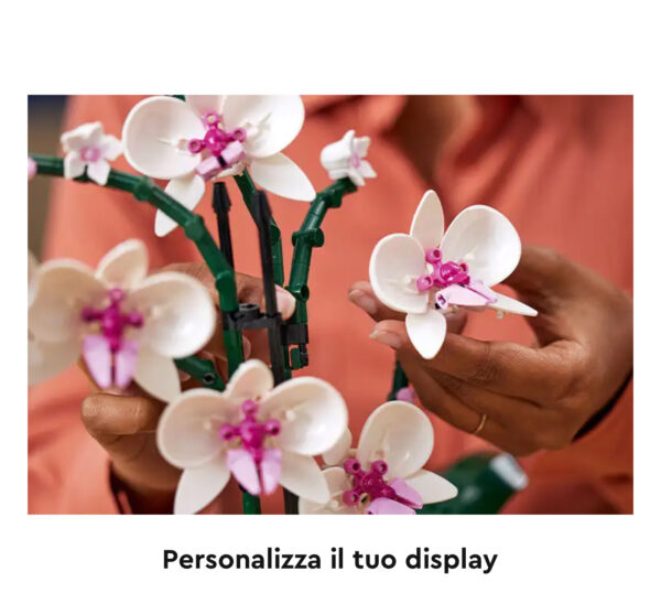 Orchidea - immagine 14