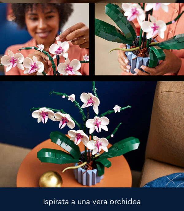 Orchidea - immagine 16